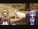【ゆかマキVlog】坂城にうどんを食べに行った話