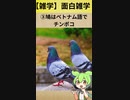 【雑学】面白い雑学197