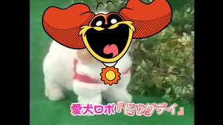 愛犬ロボ『ドッグデイ』