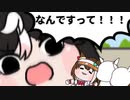 自作たぬきのまとめ（9）