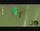 #110【ゼルダの伝説 ブレス オブ ザ ワイルド】迷路島に挑む！