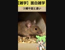 【雑学】面白い雑学199