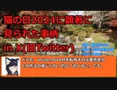 2024年の猫の日に顕著に見られた事柄【おくねこなつねこ】