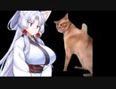 私は猫になりたい　【東北イタコ】