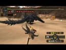 MHP2G G級 誇りを賭けた試練 猫火事場 弓ソロ ２／２