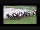 2024/02/24 阪神5R 3歳未勝利 シュガークン