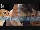 CAT ZONE(RED ZONE0)原曲ありver