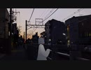 私の幸せを探しているの feat.IA / 故歌