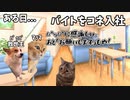 無職ヒキニートがフリーターにレベルアップした話 #猫ミーム #猫マニ