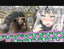 虎杖りすく「お"前"は"な"ん"な"ん"だ"！"ク"ロ"ワ"ア"ァ"ァ"ァ"ァ"ァ"！"！"」真人ロワちゃん「デカい♡声出さなくても聞こえてるよぉ！♡松嘩りすくぅぅぅぅぅぅ！！♡♡♡」