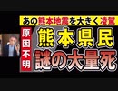 【熊本県】謎の大量死を実態を追求せよ