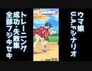 【ウマ娘】U.A.F.シナリオ トレーニング成功・失敗集 フジキセキ【ウマ娘プリティーダービー】