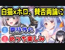 ホロライブ3期生と白猫プロジェクトがコラボするも賛否両論に　「なんか期待はずれ」「めちゃくちゃ楽しみ」　【兎田ぺこら/不知火フレア/白銀ノエル/宝鐘マリン】
