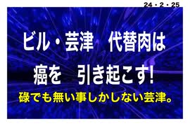 24・2・25　ほぼ肉を食べない（完全では無い）生活　快適です。