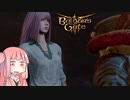 お姉ちゃん腐ったご主人様となる【バルダーズゲート3】♯12