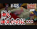 【初見実況】　名作RPG！ブレスオブファイア４のクリアを目指します！　Part48