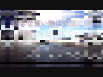 高い買物は慎重に！自分と近いタイミングでクルマを買ったおばちゃんの話を聞くと不穏な点が...