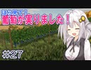 FS22でも1億ドル目指す！あかりちゃん！ #27【FarmingSimulator22】