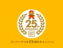 Super Mario Bros. 25th Anniversary_ Club Nintendo Special Items (Japan)