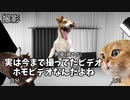 【開示編】ホモビデオ制作会社アルバイトの日常 #猫ミーム #猫マニ