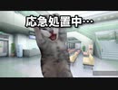 猫ミーム(よし、入試まであと数日、頑張るぞ！→肺に穴が空いています…)(実話)