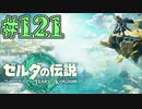 【初見実況】翔ける、創る、紡ぐ,だいたいピクミン#121【ゼルダの伝説 ティアーズオブザキングダム】