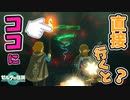 ガノン封印部屋に無理やり壁抜けで侵入してみた(ver1.1.0)【ティアキン TotK】裏技 バグ 検証 ゆっくり実況 glitch