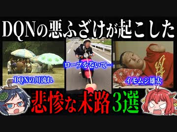 DQNの度を越した悪ふざけが起こした悲惨な末路【ゆっくり解説】