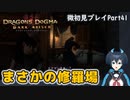【DDDA】チトチトのドラゴンズドグマ：ダークアリズン微初見プレイPart41