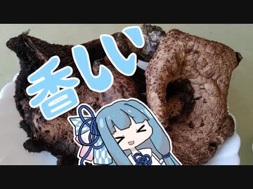 【A.I.VOICEキッチン】採取したキノコを食べる葵ちゃん　増量中