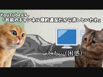 YouTubeくんにチャンネル削除された男の末路【猫ミーム】