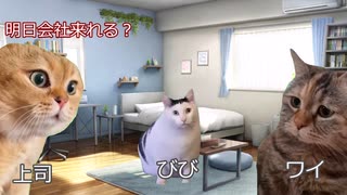 【猫ミーム】子猫を飼い始めた時の話｜びびちゃんねる