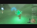 #113【ゼルダの伝説 ブレス オブ ザ ワイルド】光輪盾サーフィン！