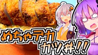 【ニコ食フェス2024冬肉】厚さ6センチ！ド級のカツ丼…ドカツ丼！！【今日のご飯に恋するふたり】