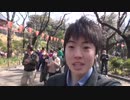 大丈夫、少しの東方魔侯溯だけ（？）