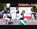 【東大生が】2023駒場祭⑨東大踊々夢【踊ってみた】Part4