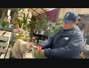 第一園芸センターさん、営業社員　お待たせしました。たま子さんです。2024/02/24