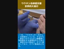 ワクチン合併症災害、世界的大流行