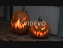 Halloween Carved Pumpkins With Candles