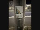 フリーランスカツドンのモラルある盗撮集part.4