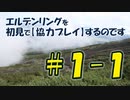 #1-1 エルデンリングを 初見で【協力プレイ】するのです