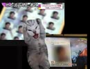 猫ミーム　ホモビに出たら晒し者になった話（野獣先輩編）
