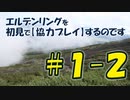#1-2 エルデンリングを 初見で【協力プレイ】するのです