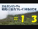 #1-3 エルデンリングを 初見で【協力プレイ】するのです