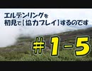 #1-5 エルデンリングを 初見で【協力プレイ】するのです