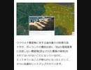 ウクライナ産トウモロコシ貨車にポーランド国境で損傷 160トンが流出