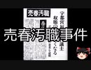 【ゆっくり朗読】ゆっくりさんと日本事件簿 その498