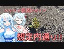 2024年2月26日　農作業日誌P917　雨が上がったら地面がどろどろになっていた