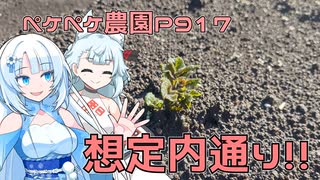 2024年2月26日　農作業日誌P917　雨が上がったら地面がどろどろになっていた