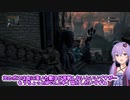 【bloodborne】今更イチカラブラッドボーン５
